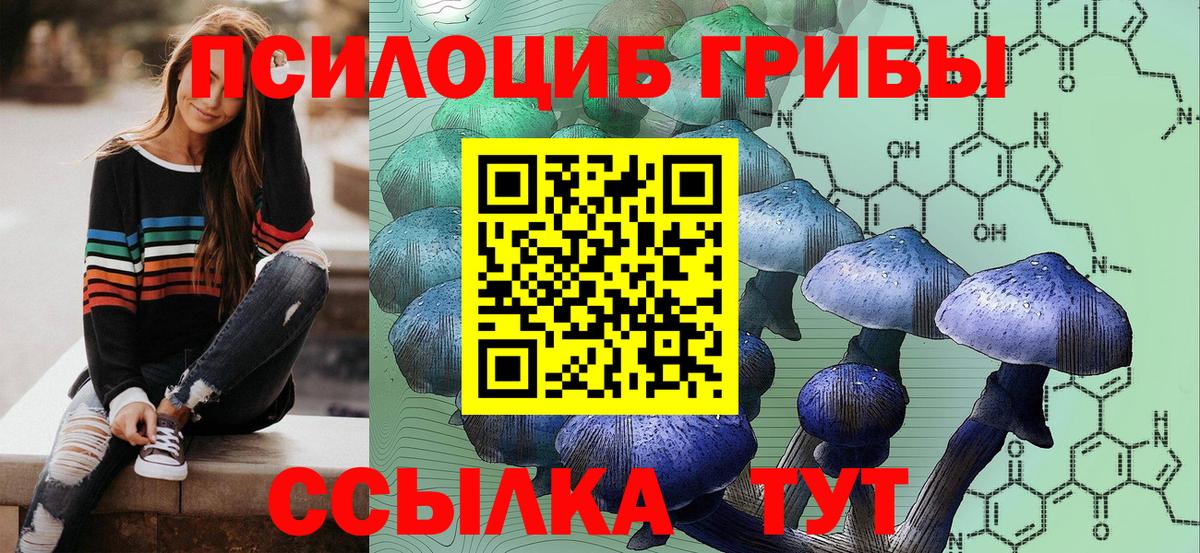 Псилоцибиновые грибы мухоморы  Вход с VPN  Сафоново 